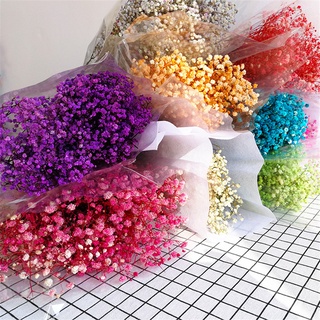 Natural Fresh Dried Preserved Flowers Gypsophila paniculata Baby's Breath Flower bouquets gift For