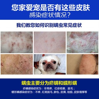 Oral medicine for skin diseases Dog fungus itching Teddy Golden Retriever hair removal erythema Pet (3)