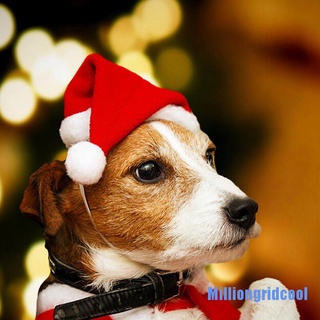 [Milliongridcool] Christmas pet santa hat small puppy cat dog xmas holiday costume ornaments