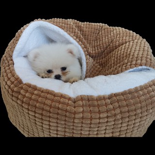 ▦▲◎Luxury Pet Dog Cat Bed Round Semi-closed Tent Cat Warm Bed Washable House Bed For Small Dogs Cats