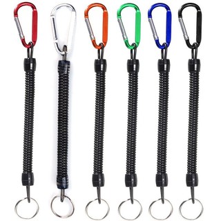 Carabiner and Hook Organizer key Chain Accessory