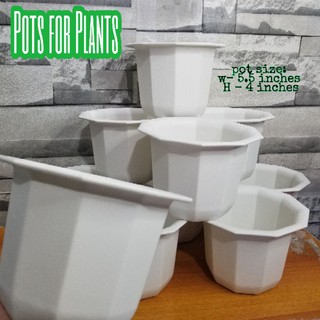 small white pots for plants