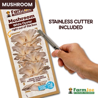 Mushroom Grow Kit • Edible Mushroom • Oyster Mushroom • Grow Bag • FarmJoe (3)