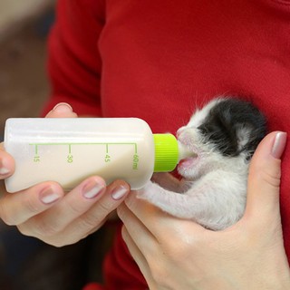 7in1 Silicon 60ML Puppy Pet Feeding Bottle Water Feeder Milk Feeder Bottle For Cat Dog Pets (4)