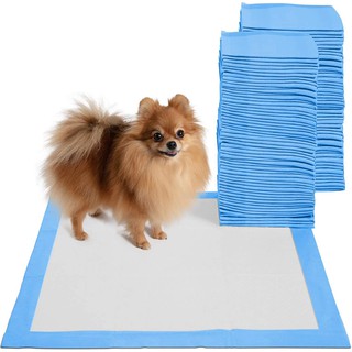 Training Pads for Pets / Regular Dog Training Pad Per Piece Medium