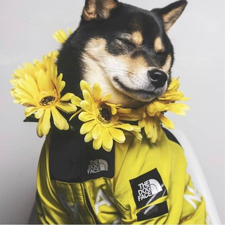Luxury Pet Dog Raincoat Jacket Clothes Windproof Cat Dog Jacket Waterproof Reflective Pet Clothing