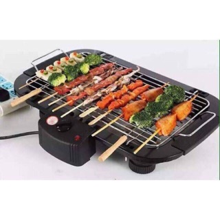 Electric Barbecue grill outdoor BBQ