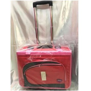 School Trolley Bag with differet color combination (1)