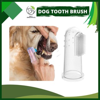 Pet Grooming▲COD | BUY NOW Finger Coat Toothbrush Pet Tooth Brush Finger Toothbrush Good for your Ca