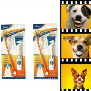 Pet Toothpaste/Toothbrush Set (2 flavors available)