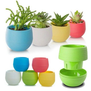 (Buy 1 Get 1) Mini Colourful Round Plastic Plant Flower Pot Garden Home Office Decor Planter Desktop (1)