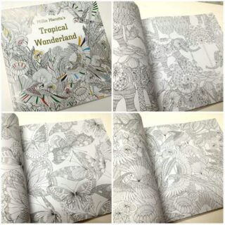 Tropical wonderland adult coloring book