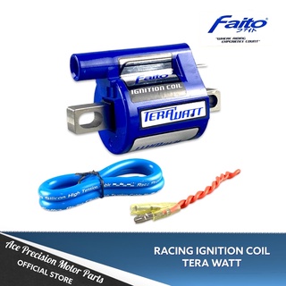 ✅ FAITO IGNITION COIL TERA WATT CARB TYPE MODEL ONLY (2)