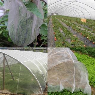 Insect Screen Net Green Anti Mosquito Mesh and Greenhouse Insect Mesh Net
