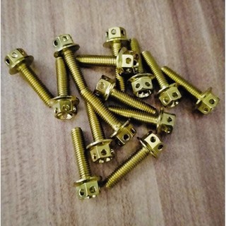 5x20 HENG GOLD BOLTS - Sold Per Piece