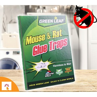Green Leaf Rat & Mouse Sticky Mice Rodent Glue Board Bait Trap 11cmx17cm (SMALL)