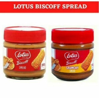 Lotus Biscoff Spread or Crunchy