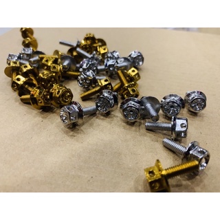 ◙♂🇹🇭Heng Break Fluid cap Bolts 4x12 Gold/White bolts (sold per piece)