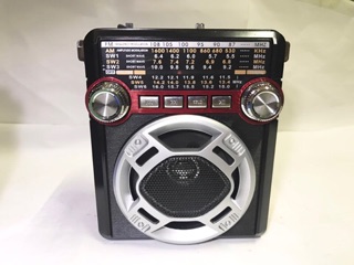 Rechargeable Radio FM / AM MP3 Player with USB slots (7)