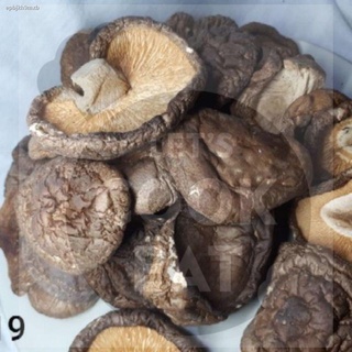 ◄Special Dried Shiitake Mushroom Medium/Thin 100g