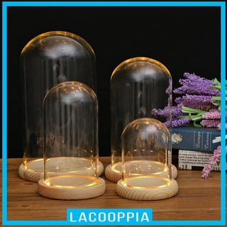 [LACOOPPIA] Glass Dome Wooden Base With LED Light Birthday Gift Bedroom Decor