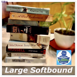 Children Books﹉[Preloved Book] Large Softbound Novels (S56) by various authors from CasaDHans