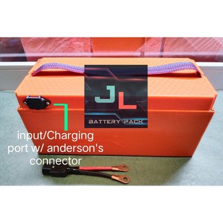 LifePo4 Battery pack 24V - 44ah (2)