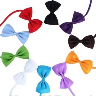 Pet bow tie (for dogs/cats)