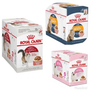 Royal Canin Wet Pouch--Per Box