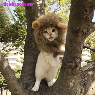 ♟✗☫[NFPH] Pet Dog Hat Costume Lion Mane Wig For Cat Halloween Dress Up With Ears