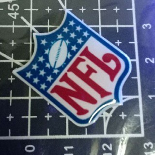 NFL PIN BROOCH SPORTS PIN