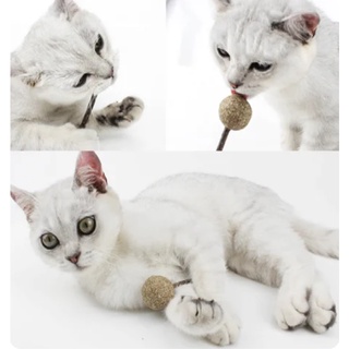 SP Lollipop Shape Catnip Ball Cat Toy Kitten Teeth Cleaning Snack Silvervine Stick