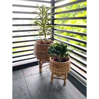 Rattan Pots Planters with Stand (SMALL SIZE ONLY)