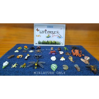 Animal Life Cycle MINIATURE TOY Series