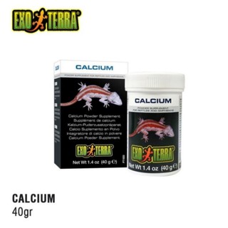 Calcium Exoterra / For Reptile / Not calcinut / For gecko / bearded dragon / CALCIUM REPTIL