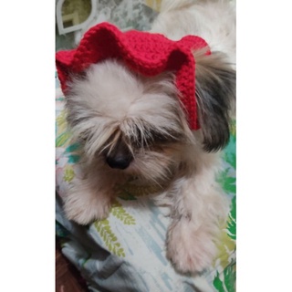 【Ready Stock】♤crochet bucket hat for small dogs/puppy