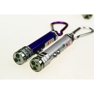 Mini Laser Light Pointer LED Torch Flashlight Keychain (4)