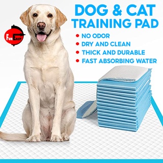 Dog Training Pad Pet Pee Pad Dog Potty Pads Cat Dog Pee Training Pad Pet Wee Pee Poop Training Pad