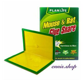 Rat & Mouse Sticky Mice Rodent Glue Board Bait Trap (1)