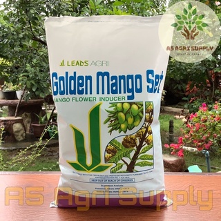➳Golden Mango Set 1 Kilo Mango Flower Inducer Potassium Nitrate / Sodium Nitrate by: Leads Agri❉