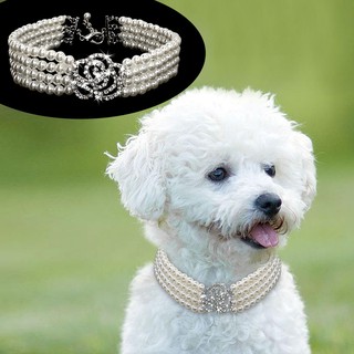 Elegant Fancy Cat Jewelry Pearls Collars Dog Necklace Pet Pearl Collars Crystal Rose Charm