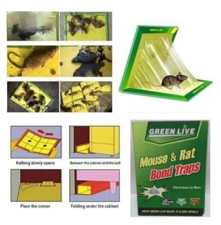 Rat & Mouse Sticky Mice Rodent Glue Board Bait Trap 10pcs (2)