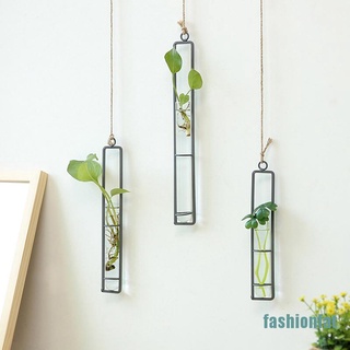 [fashionfat]Wall Hanging Flower Vase Iron Glass Transparent for Hydroponics Plant Container