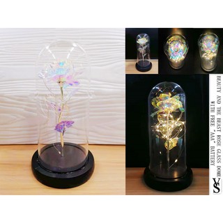 [VS] BEAUTY AND THE BEAST ROSE GLASS DOME MOTHER'S DAY GIFT BIRTHDAY GIFT free battery