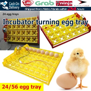 220V 24/56 Eggs Incubator Poultry Incubator Hatcher Egg Hatchery Machine Automatic Egg Turning Tray (1)