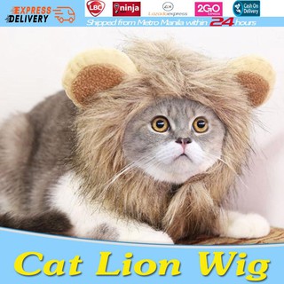1Pcs 2019 New Pet Cat Dog Wig Emulation Lion Hair Mane Ears Head Cap Autumn Winter Dress Up Costume