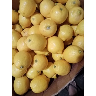Lemon citrus 1 pc per order We bring fresh foods to your door step