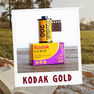 Kodak Gold Roll Film ISO 200 35mm 36 Shoots Exposures for Photography
