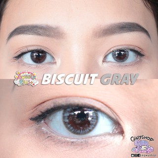 Biscuit Gray ✧ Sweety Plus