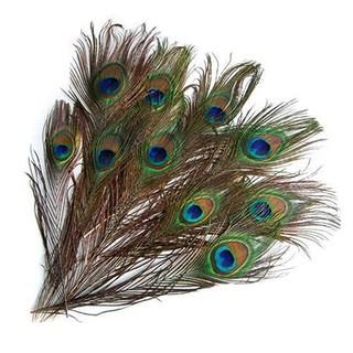 COD!Gregorio 10 Pcs Cool Gifts DIY Peacock Eye Tail Feather for Masquerade Decoration Party (1)